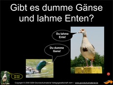 Gibt-es-dumme-Gänse.pdf